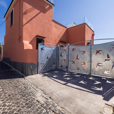 Le Rondinelle Rooms Procida Zewnętrze zdjęcie
